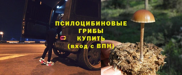 стафф Аркадак