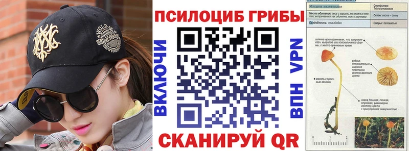 ОМГ ОМГ ТОР  купить наркотик  Волхов  Псилоцибиновые грибы мицелий 