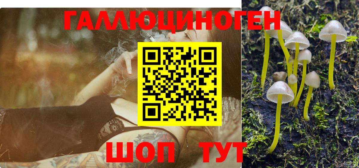 Галлюциногенные грибы Cubensis Волхов